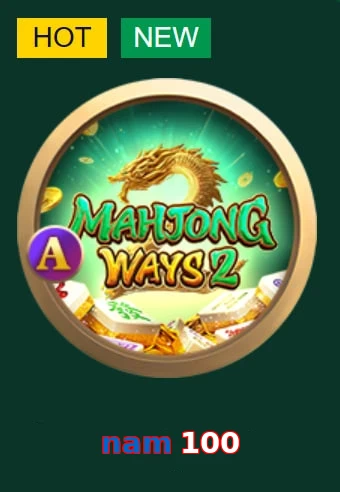 nam 100
