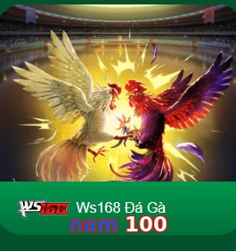 nam 100